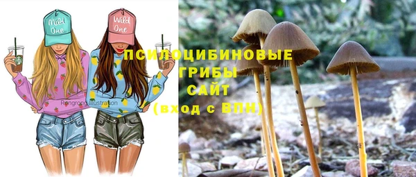 мескалин Каменногорск