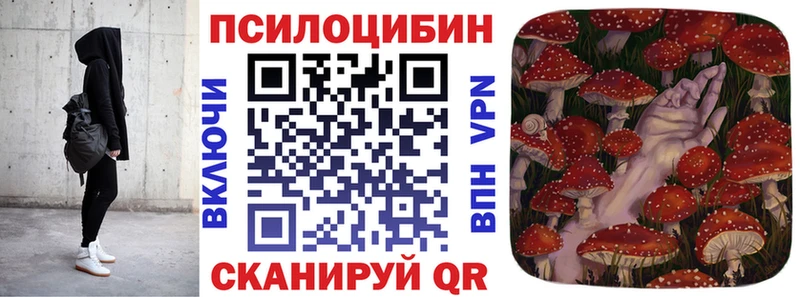 Купить  Касли  Псилоцибиновые грибы прущие грибы 